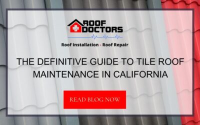The Definitive Guide to Tile Roof Maintenance in California