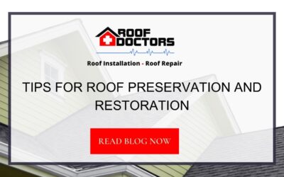 Tips for Roof Preservation and Restoration