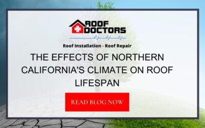 The Effects of Northern California’s Climate on Roof Lifespan