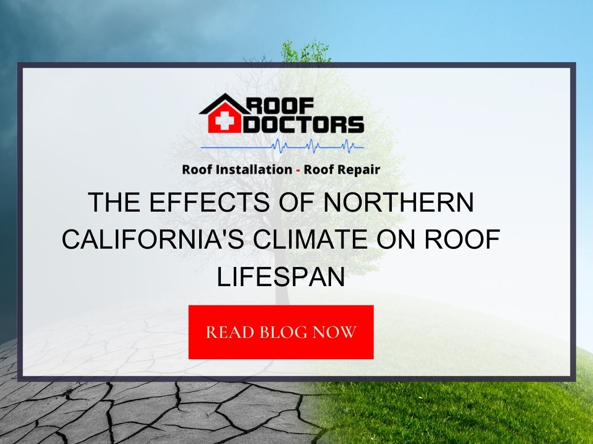 Front image of a blog titled "The Effects of Northern California's climate on roof lifespan " with climate illustration as the background and the title displayed in serif typography
