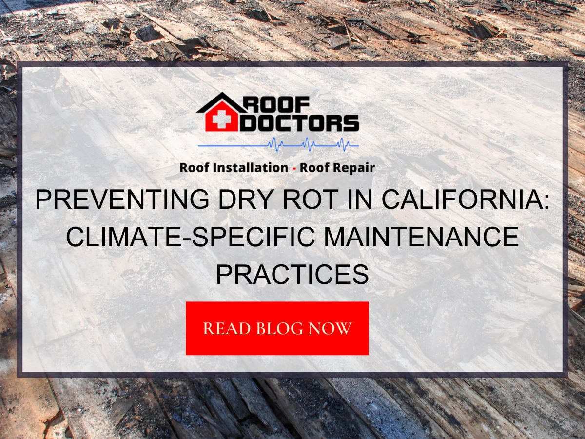 Preventing Dry Rot in California: Climate-Specific Maintenance Practices