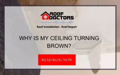 Why Is My Ceiling Turning Brown?